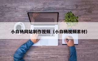 海口小白杨网站制作视频（小白杨视频素材）
