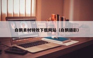 海口白鹅素材特效下载网站（白鹅摄影）